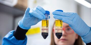 Una investigadora en un laboratorio del Instituto Jenner en Oxford, Inglaterra, trabaja en la vacuna contra el coronavirus desarrollada por AstraZeneca y la Universidad de Oxford