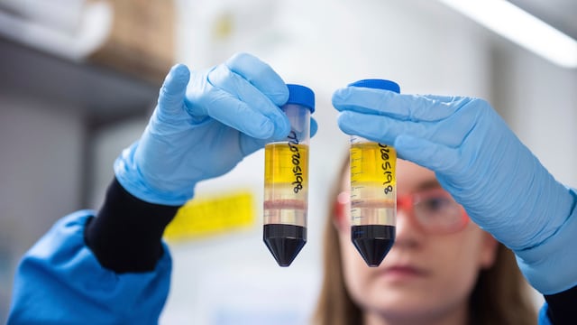 Una investigadora en un laboratorio del Instituto Jenner en Oxford, Inglaterra, trabaja en la vacuna contra el coronavirus desarrollada por AstraZeneca y la Universidad de Oxford