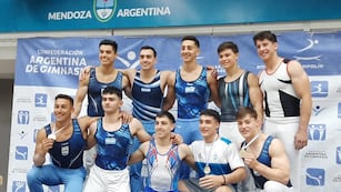 Los máximos exponentes de la gimnasia artística masculina.