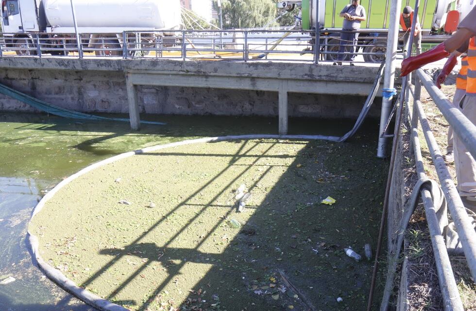 Zona centro y Costa Azul, los dos sectores del lago que limpiaron este jueves en Carlos Paz