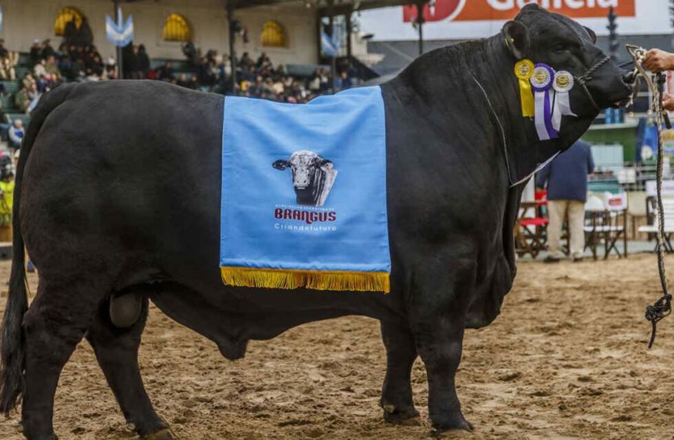 Excesos de preparación para las exposiciones