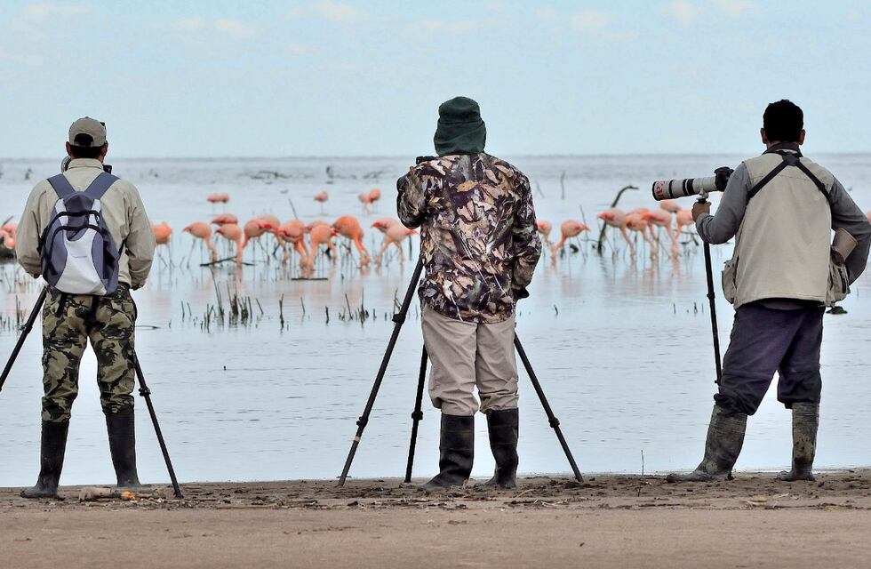 Clima: agradable y despejado en Ansenuza