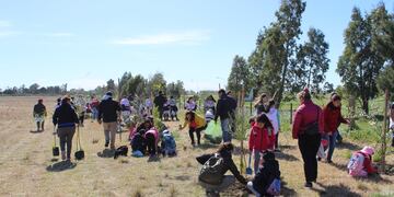 Tres Arroyos: Se realizó la jornada de forestación en el Polo Educativo