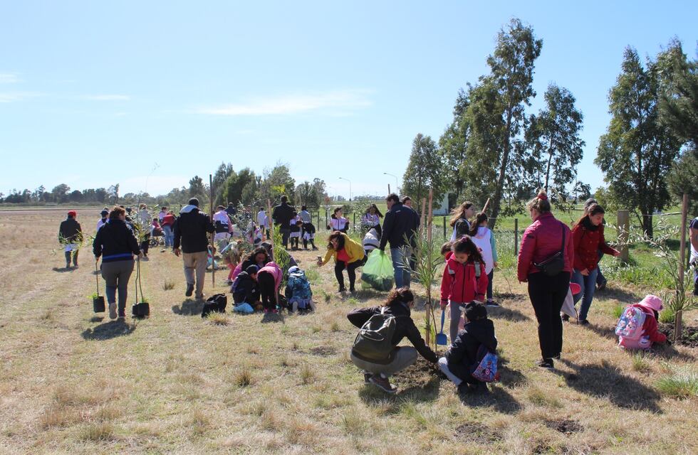 Tres Arroyos: Se realizó la jornada de forestación en el Polo Educativo