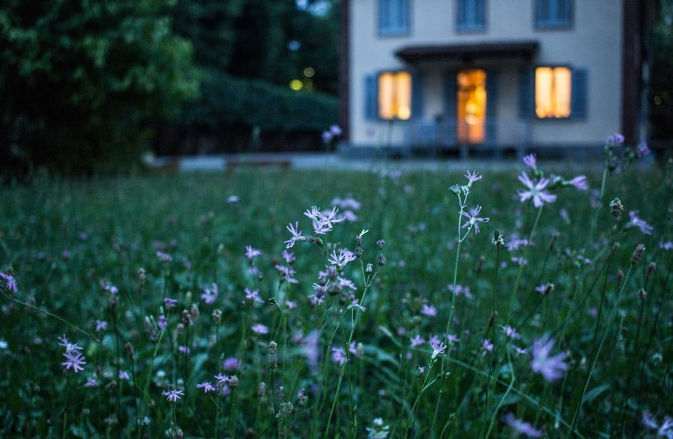 Un animal de casi dos metros apareció en el patio de una casa en Córdoba