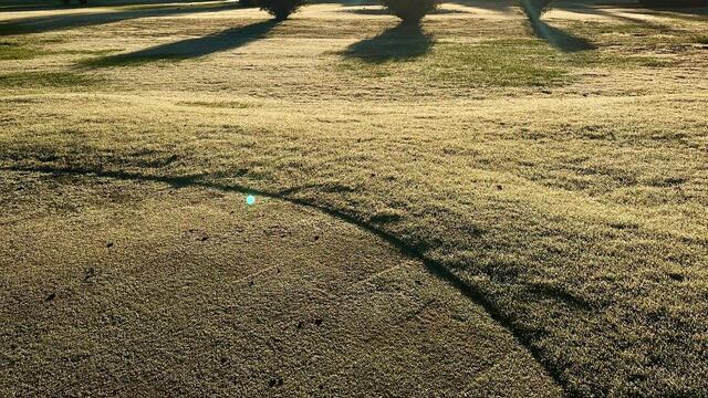 Se espera una máxima de 21°C y una mínima de 8°C, con cielo despejado (Facebook)