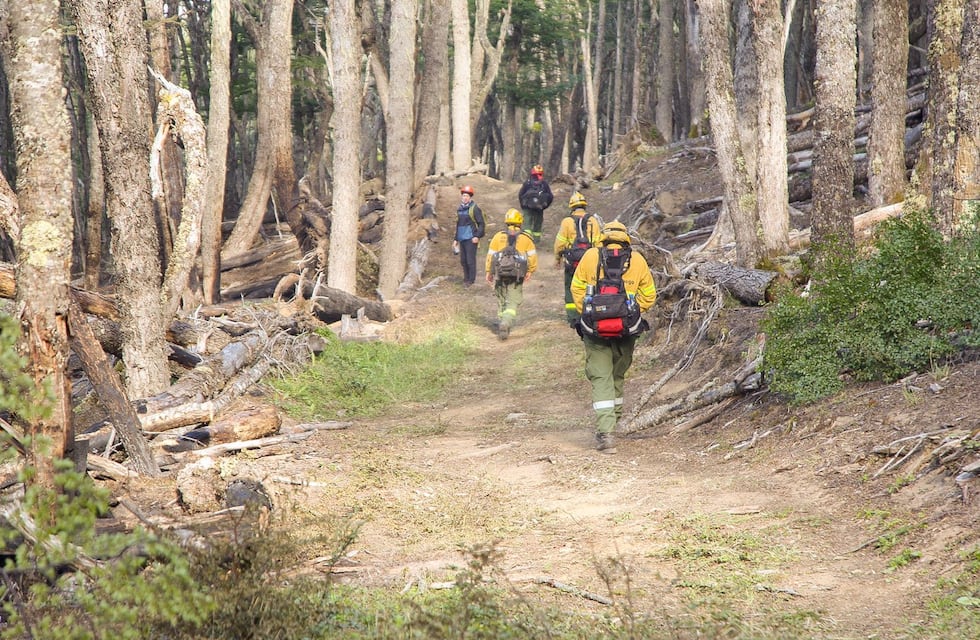 Se encuentra oficialmente extinguido el incendio en la Reserva Provincial Corazón de la Isla