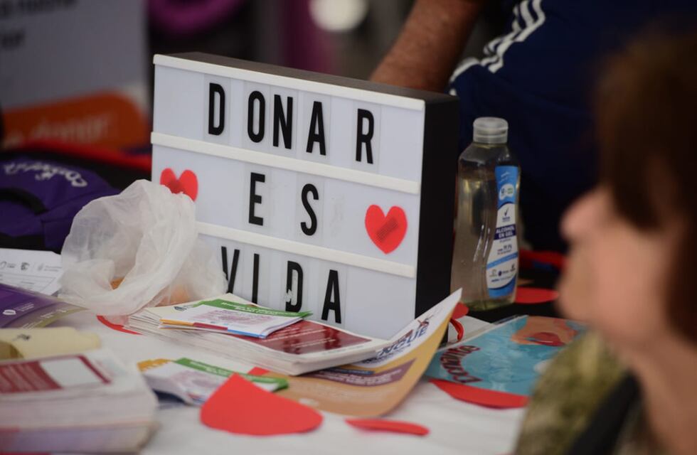 “Córdoba Rosa”: una por una, las actividades y propuestas disponibles durante octubre