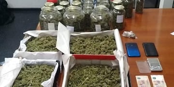 La marihuana que secuestró la Policía en una casa en Godoy Cruz.