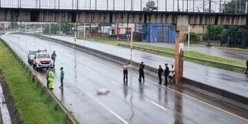 Joven pierde la vida luego de arrojarse bajo un camión en Garupá.