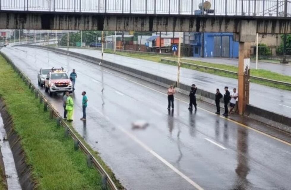 Joven pierde la vida luego de arrojarse bajo un camión en Garupá