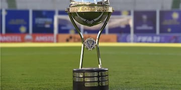 Copa Sudamericana 2024: estos son todos los equipos argentinos que participarán.