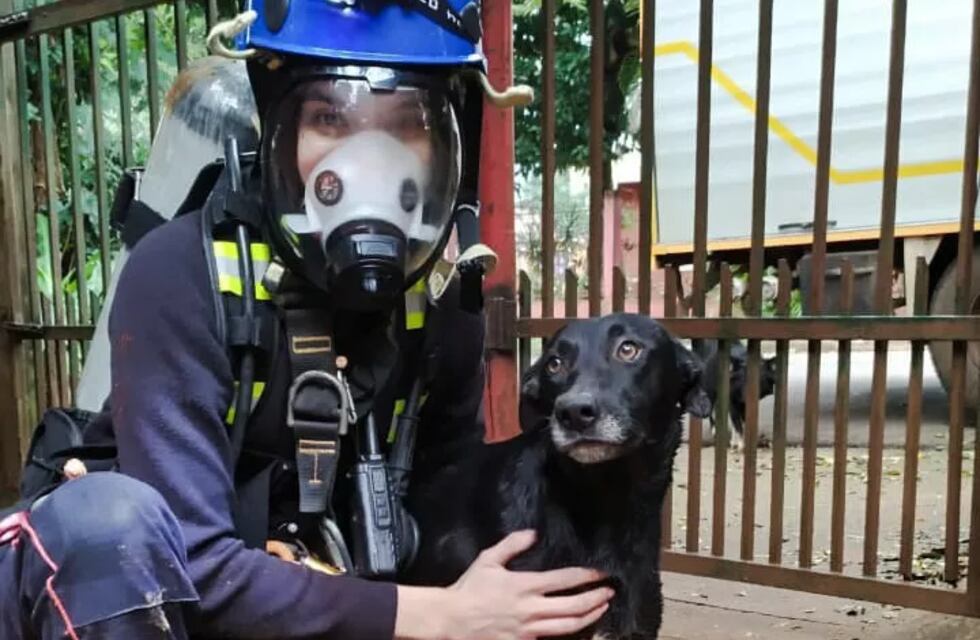 Bomberos de Iguazú rescatan a un perro que cayó a un pozo de 12 metros