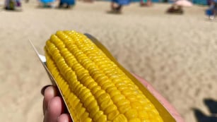 Un choclo en la playa en Mar del Plata sale lo mismo que 8 en la verdulería