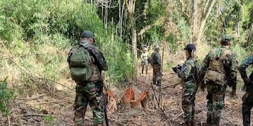 San Pedro: nuevo caso de tala ilegal en el Parque Provincial Piñalito Sur reaviva las críticas por la falta de control ambiental.
