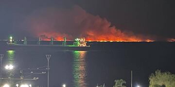 La crisis ambiental comenzó a mediados de 2020.