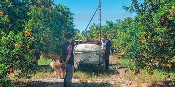 El hombre yacía tendido sobre la toma del fumigador.