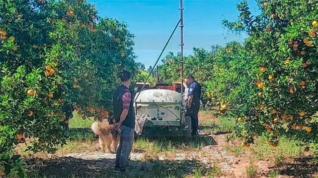 El hombre yacía tendido sobre la toma del fumigador.