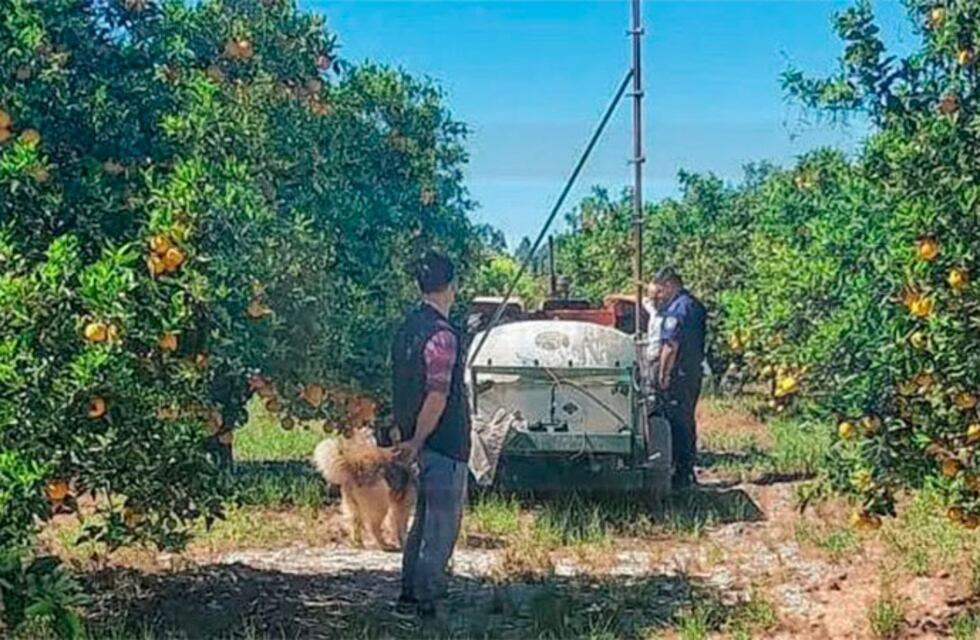 Un hombre murió tras ser atrapado por un fumigador