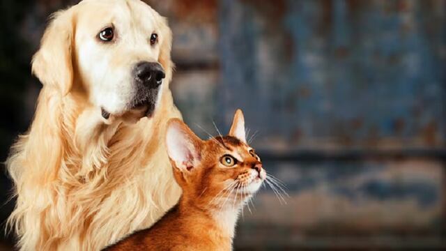 Imagen ilustrativa | Freepik