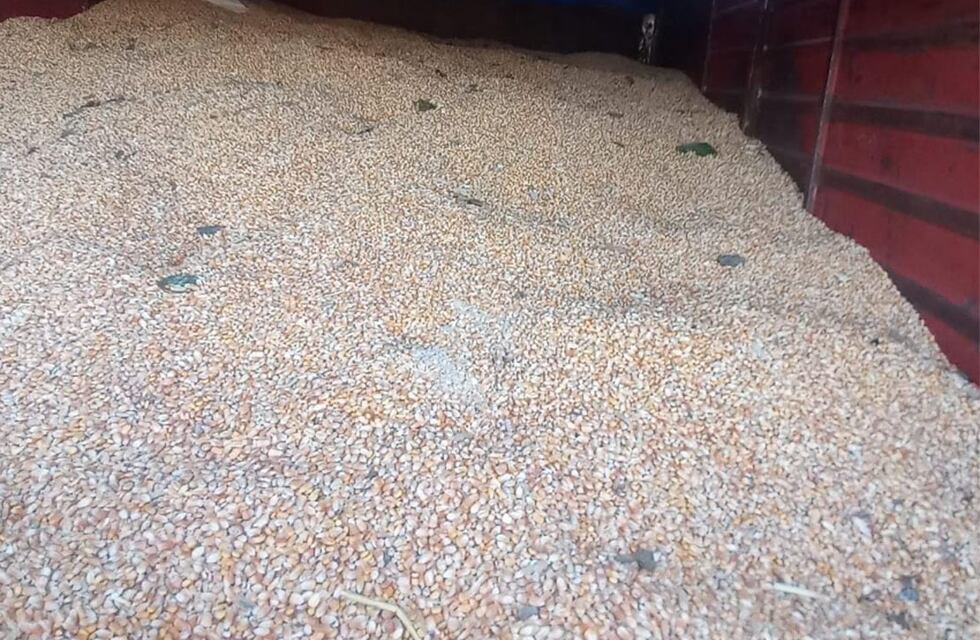Inseguridad en Córdoba: los atrapan con cuatro toneladas de maíz