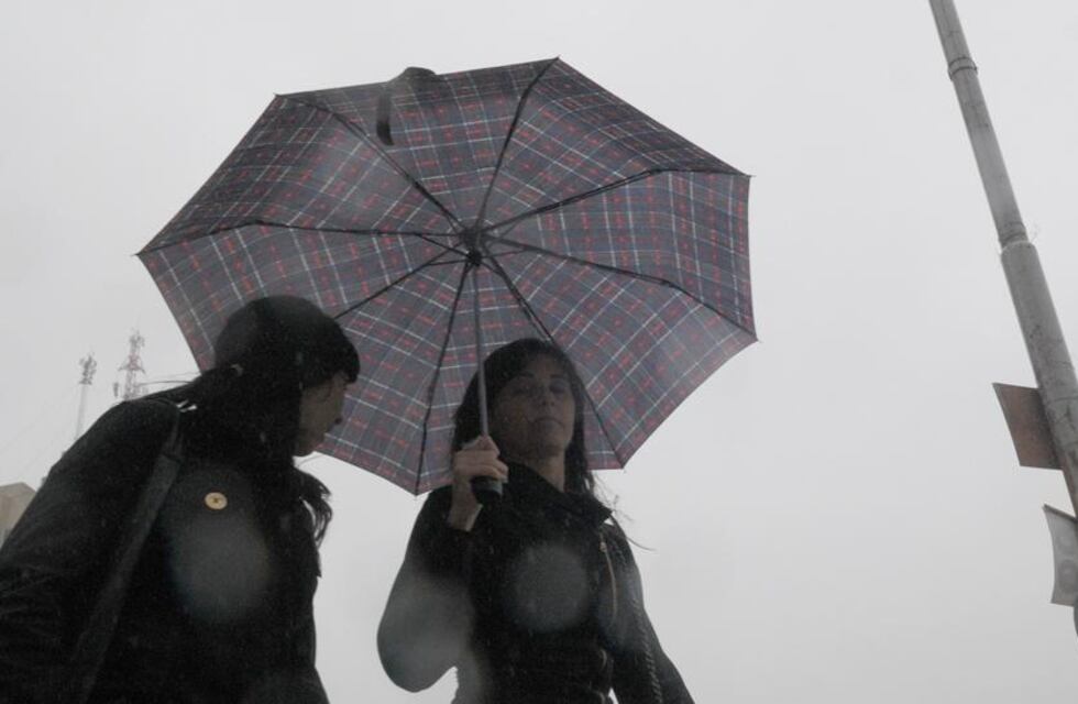 Vuelve la lluvia ¿Y los mosquitos en Buenos Aires?: Cuando será en el AMBA