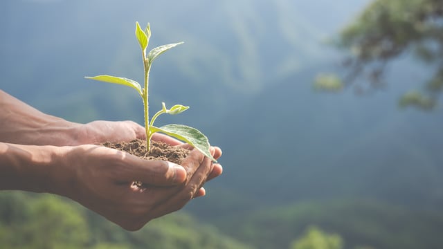 Medio Ambiente
