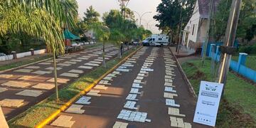 Desbaratan cargamento de cuatro toneladas y media de marihuana en San Ignacio