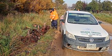 Higiene Urbana de Tres Arroyos llevó adelante distintas tareas durante la semana