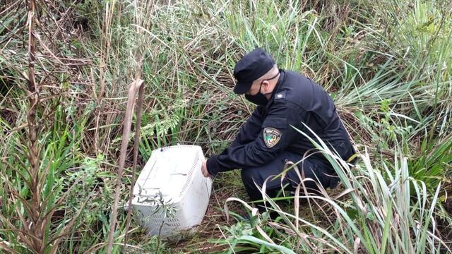 Efectivos de la Policía de Misiones lograron recuperar un horno eléctrico sustraído de una escuela en Bonpland.