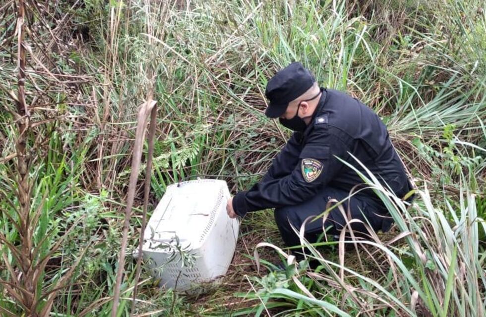 Efectivos de la Policía de Misiones lograron recuperar un horno eléctrico sustraído de una escuela en Bonpland