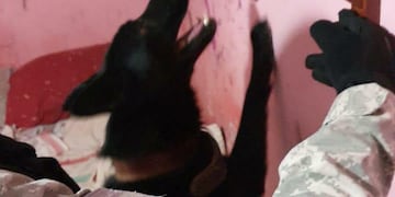 Desbarataron un punto de venta de drogas en barrio Alto Alberdi