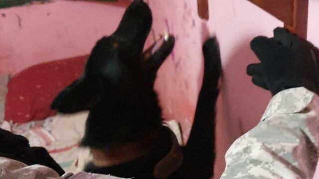 Desbarataron un punto de venta de drogas en barrio Alto Alberdi