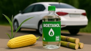 La industria sucroalcoholera promueve el incremento gradual del corte obligatorio del 6% en las naftas para bioetanol.