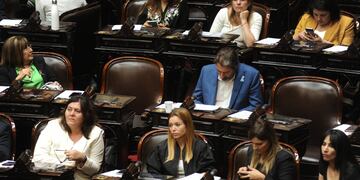 Gabriela Estévez pidió repudiar a Luis Juez en Diputados (Foto: Federico López Claro)