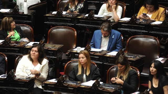 Gabriela Estévez pidió repudiar a Luis Juez en Diputados (Foto: Federico López Claro)