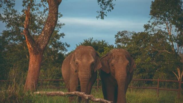 Pocha y Guillermina. Foto: Gobierno de Mendoza.