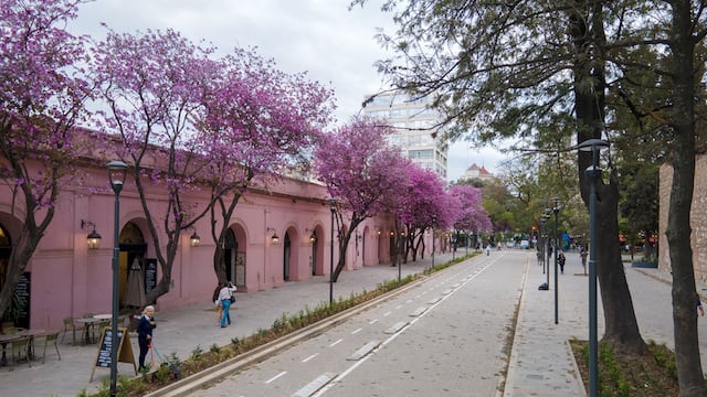 Obras de remodelación en calle 27 de abril, en el microcentro de Córdoba (Gentileza Municipalidad de Córdoba).