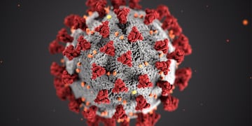 Coronavirus en Gualeguaychú. Foto: Web.