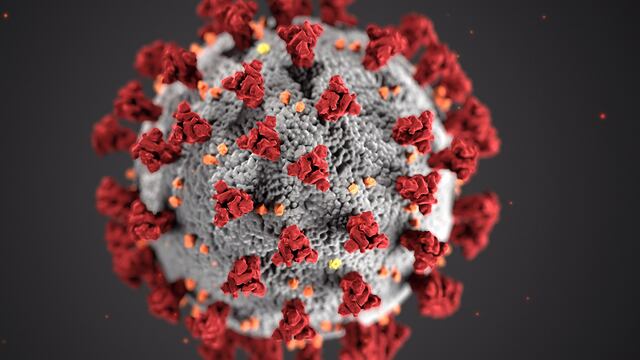 Una investigación encuadró los efectos de las variantes de Manaos y británica.