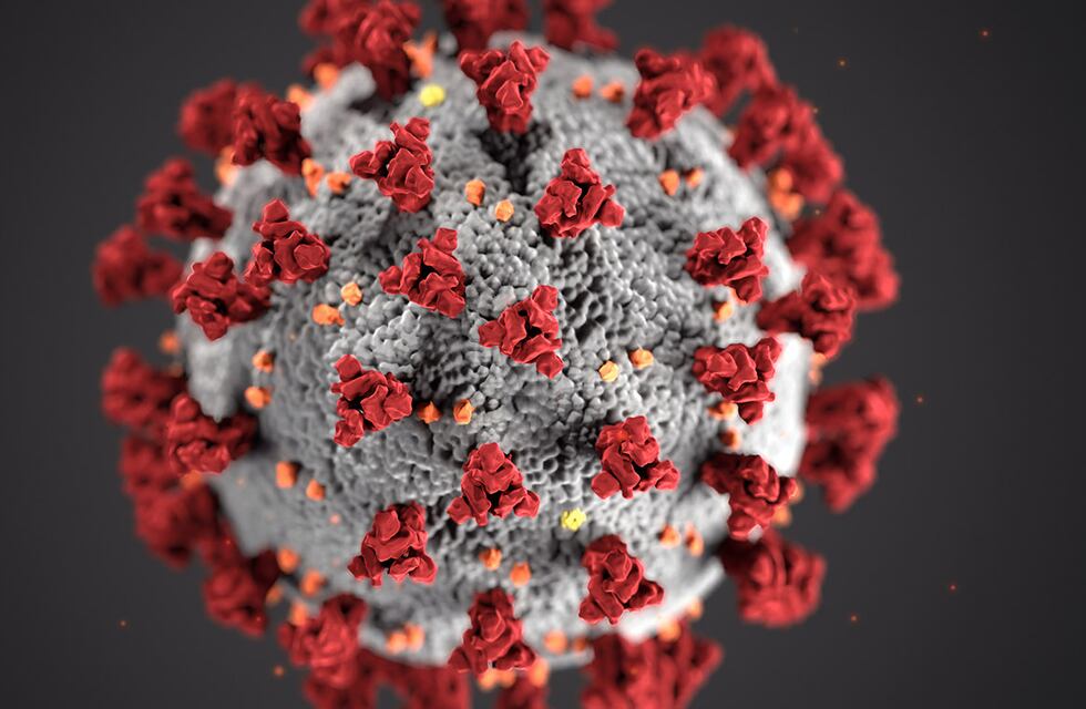 Coronavirus en Rafaela: 7 casos y surgen diferencias por los decesos