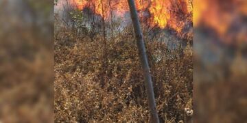 Las llamas alcanzaron un radio de 2 hectáreas.