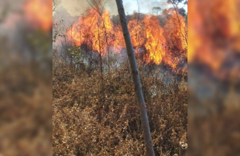 Tras cuatro horas de trabajo, bomberos pudieron sofocar un incendio forestal en Puerto Iguazú