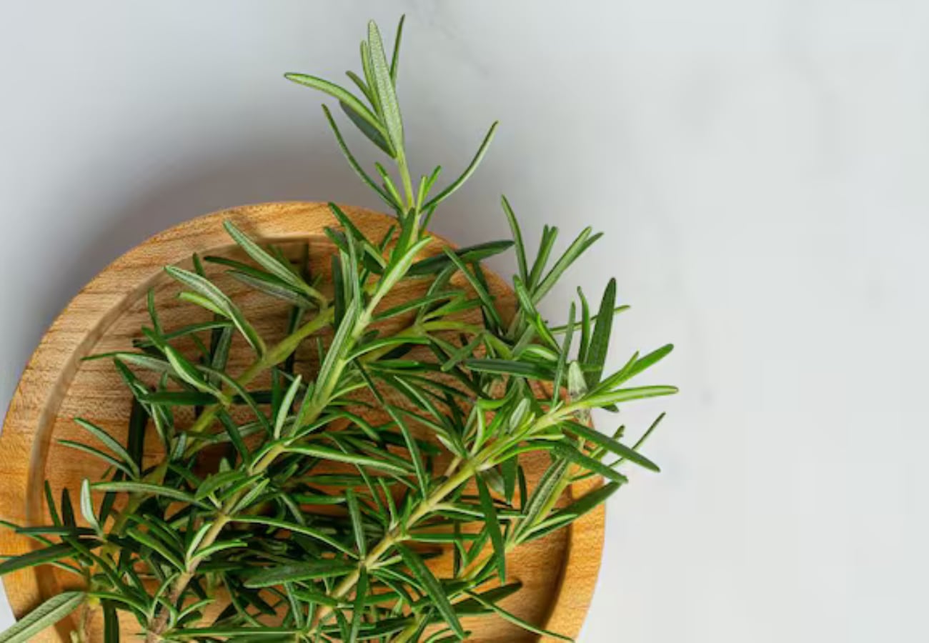 En qué lugar del hogar colocar las hojas de romero para atraer dinero y abundancia, según el Feng Shui.