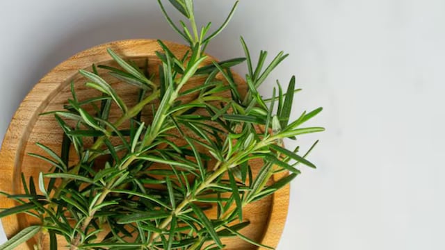 En qué lugar del hogar colocar las hojas de romero para atraer dinero y abundancia, según el Feng Shui.