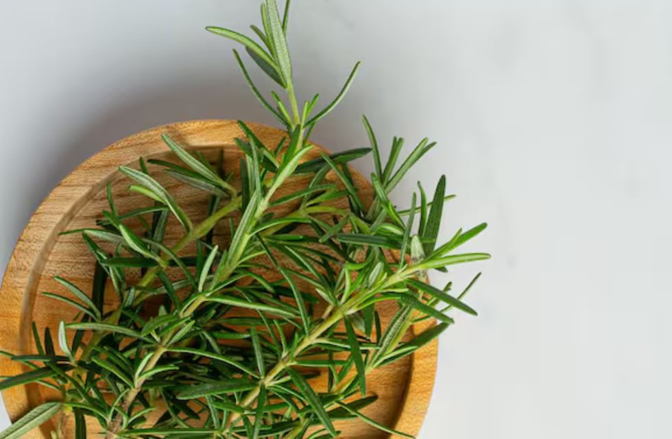 En qué lugar del hogar colocar las hojas de romero para atraer dinero y abundancia, según el Feng Shui
