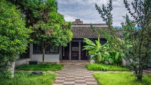 Encontraron un faisán en Córdoba. (Foto ilustrativa)