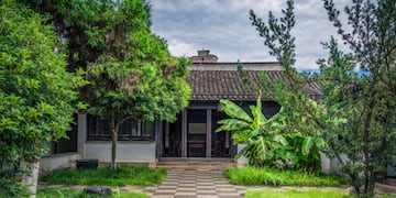 Encontraron un faisán en Córdoba. (Foto ilustrativa)