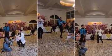 Le celebró los 15 años a su perrita con una carísima fiesta y se volvió viral en TikTok.