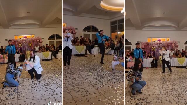 Le celebró los 15 años a su perrita con una carísima fiesta y se volvió viral en TikTok.